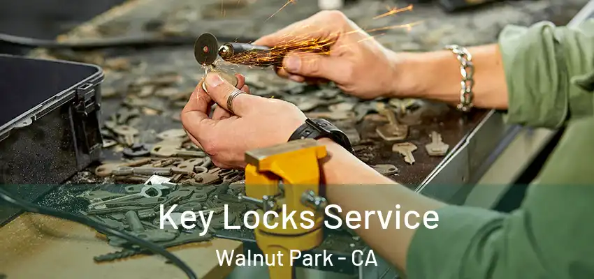  Key Locks Service Walnut Park - CA